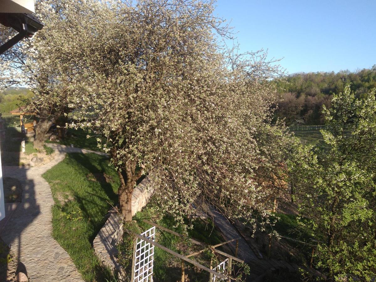 Gorski Ogrod Bed & Breakfast