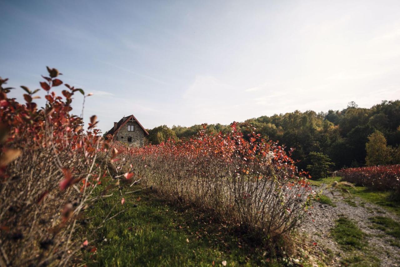 Gorski Ogrod Bed & Breakfast Lagow (Swietokrzyskie)